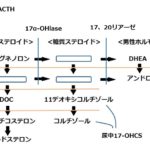 内分泌分野　問122-問248　★副腎疾患★